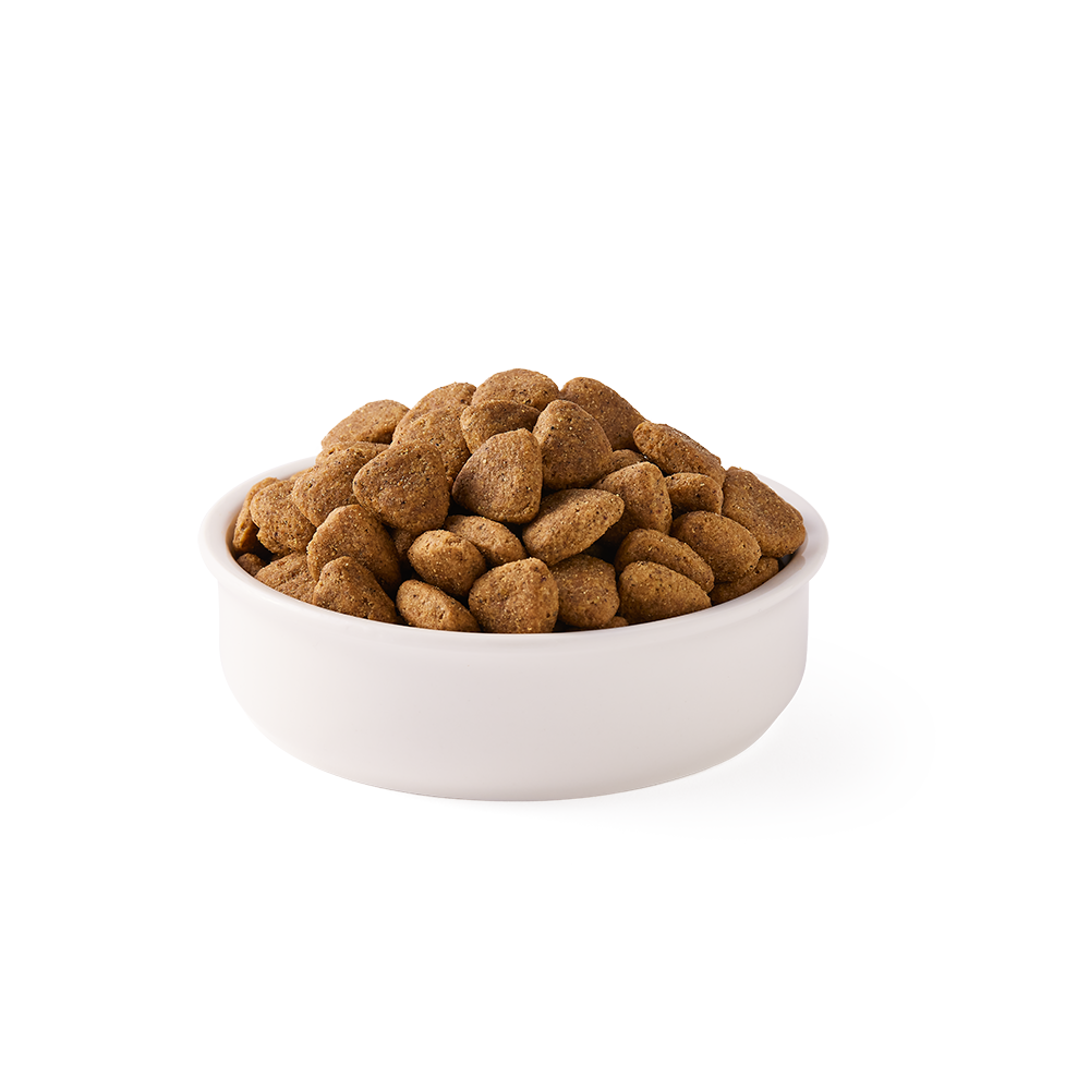 BioHundefutter Getreidefrei, vegetarisch Yarrah